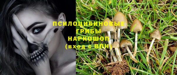тгк Переславль-Залесский