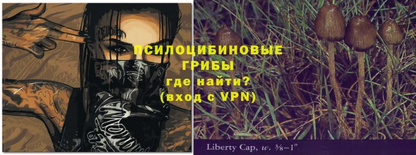 стаф Абаза