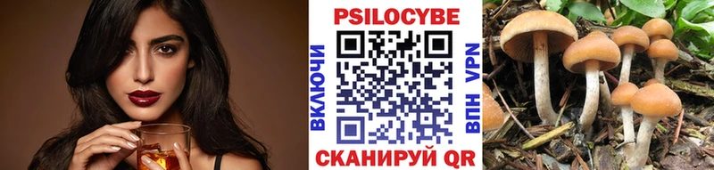 Псилоцибиновые грибы прущие грибы  Новоалександровск 