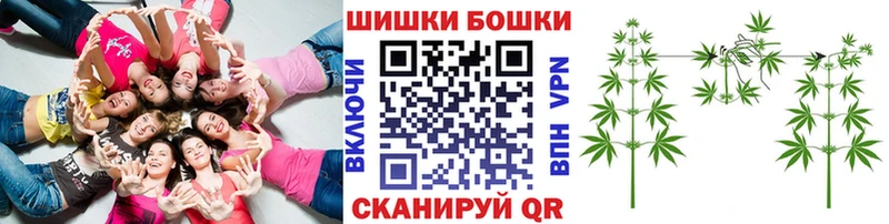 наркота  Новоалександровск  Каннабис Amnesia 